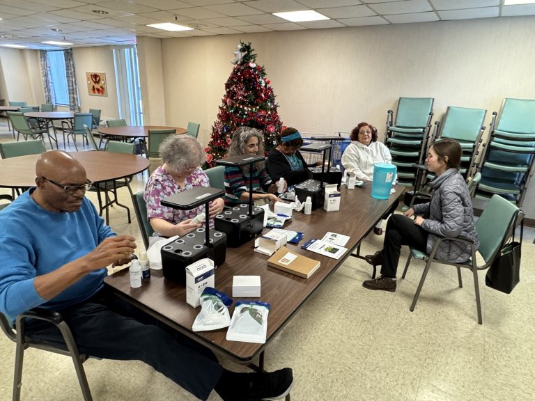 setting up hydroponics