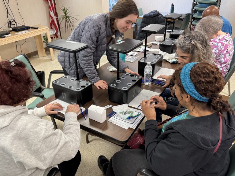 setting up hydroponics