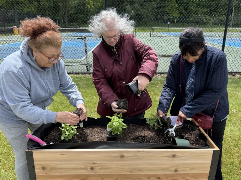 Our Elders gardening
