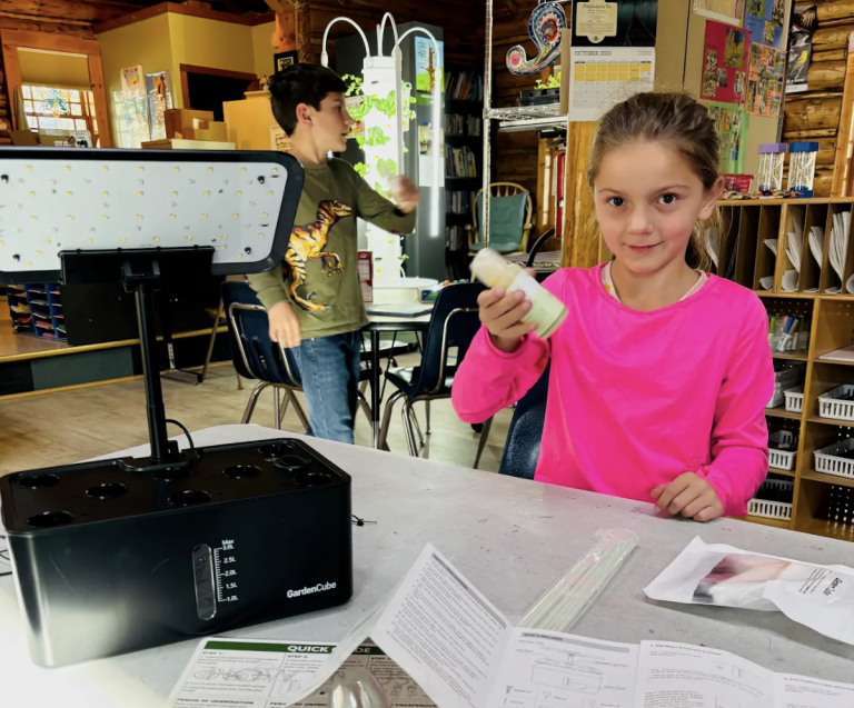 Dissolving the plant food.