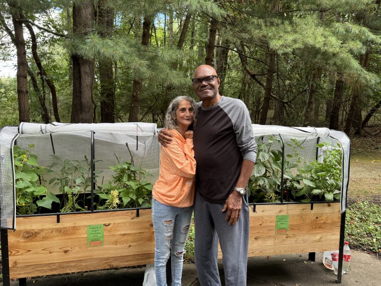 Our plants are growing!