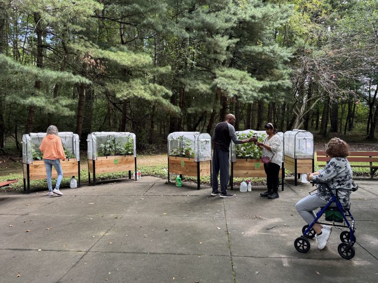 Our plants are getting bigger.