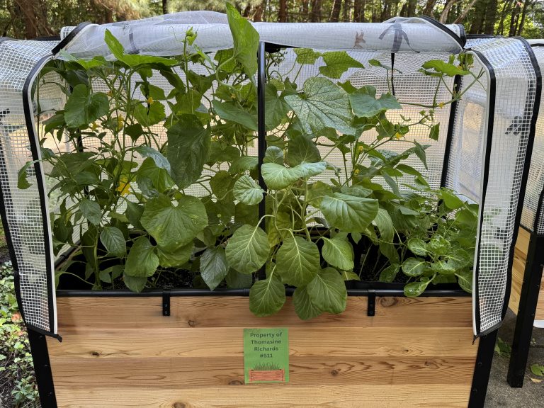 Everything is so healthy.