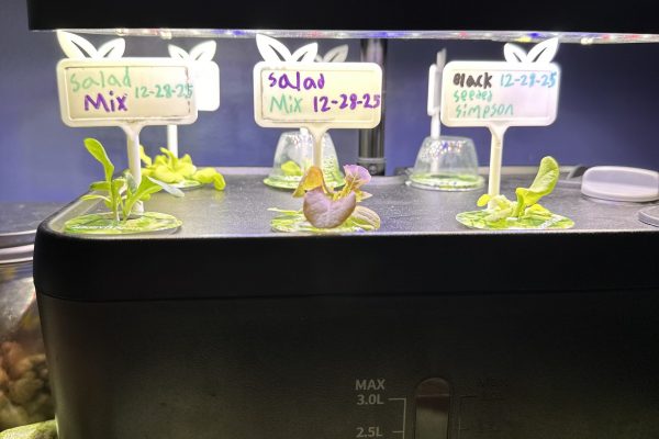 78951586268__894F274C-EF0C-4AAB-9BA4-A1254DA95582