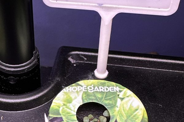 78951588936__DBDAC3B5-68D7-40EC-940A-84128E2FC0D7